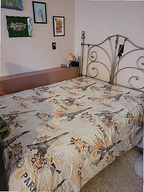 Cherie Queen 5pc Comforter Set Paris Eiffel Tower Floral Reversible Bedding